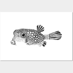 Yellow boxfish drawing Posters and Art